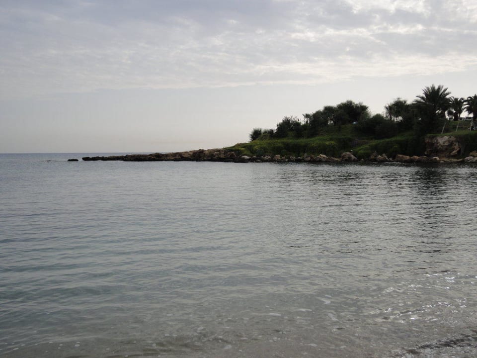 Blick über die Bucht Crystal Springs Beach Hotel