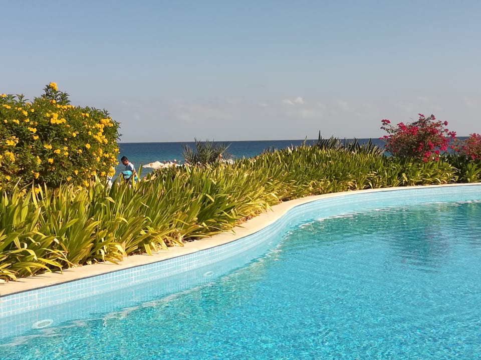 Pool Baron Palace Sahl Hasheesh