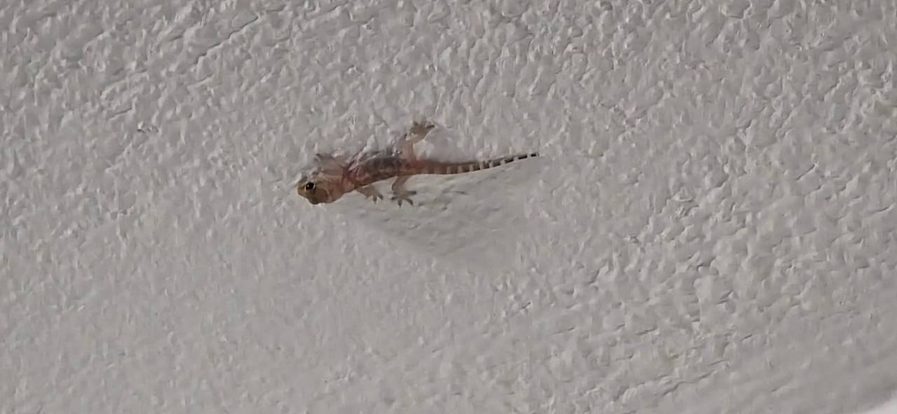 Zimmer Sandy Beach Resort