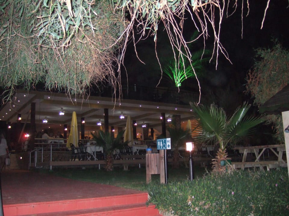 Blick auf die Außenterrasse bei Nacht Club Dizalya