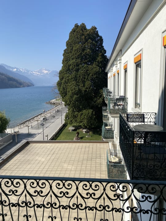 Ausblick Seehotel Waldstätterhof Swiss Quality