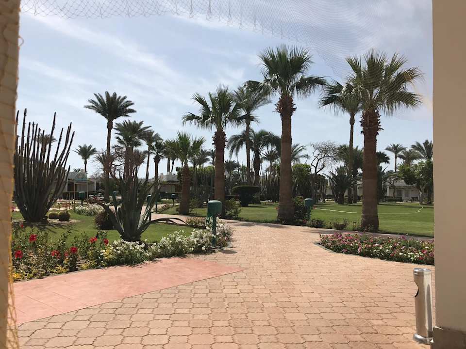 Gartenanlage Shams Safaga Resort