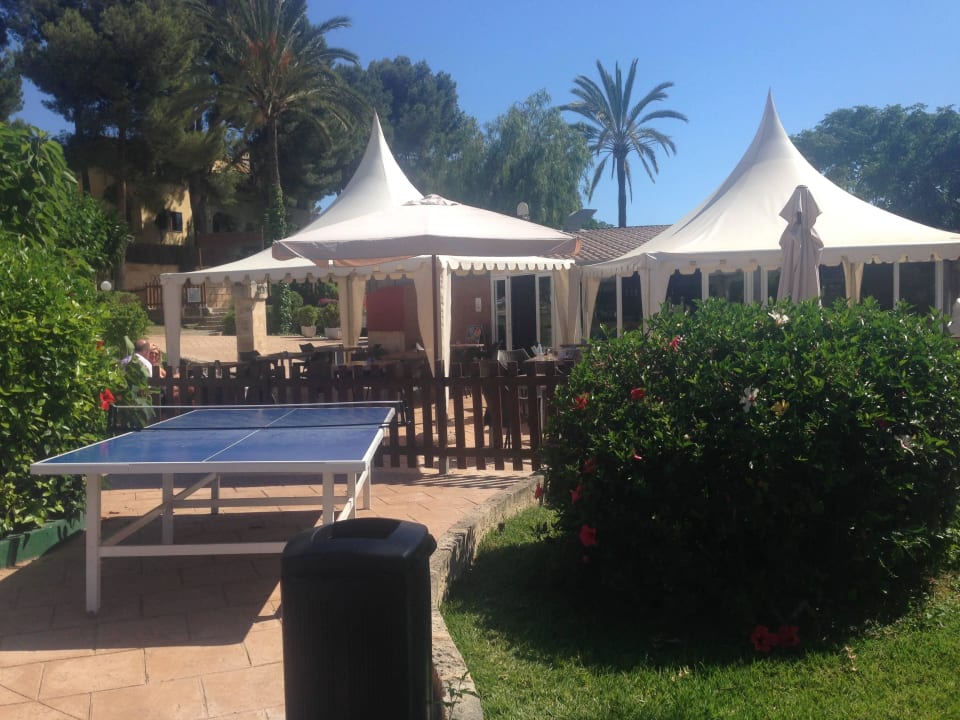 Pool Sallés Hotel Marina Portals