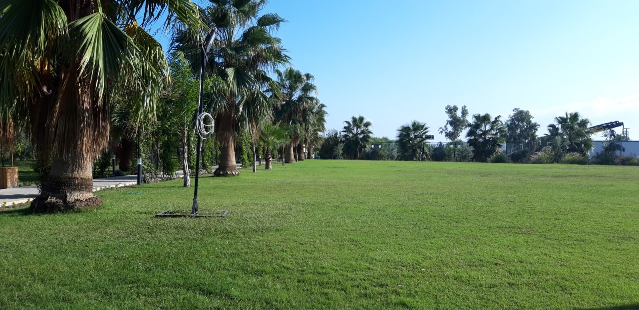 Gartenanlage Hotel Novum Garden Side