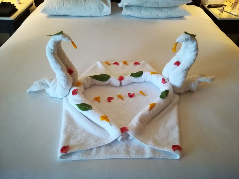 Lieblichen Dank Casa Mare Resort