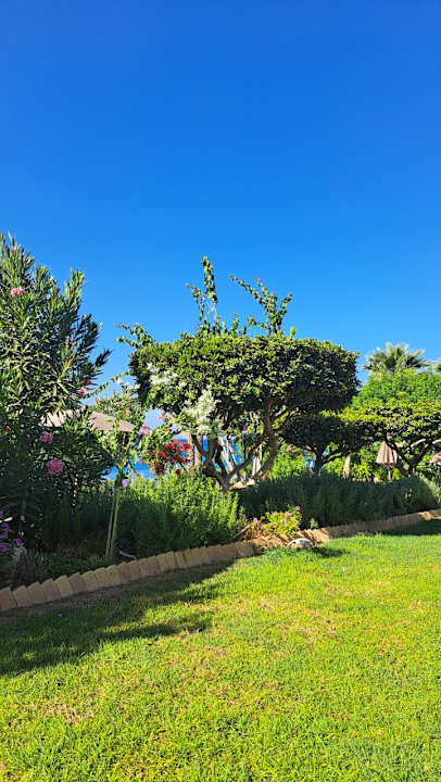 Gartenanlage Crystal Springs Beach Hotel