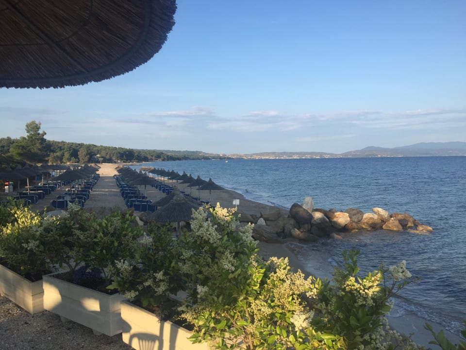 Strand Blue Dolphin Resort Hotel