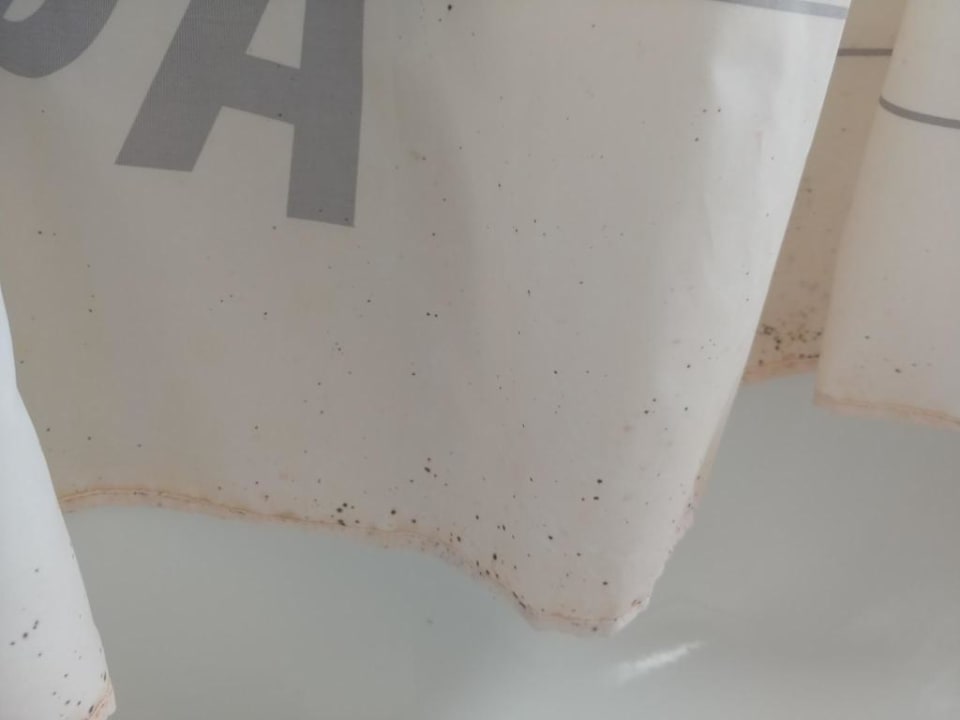 Zimmer Florastrasse 18