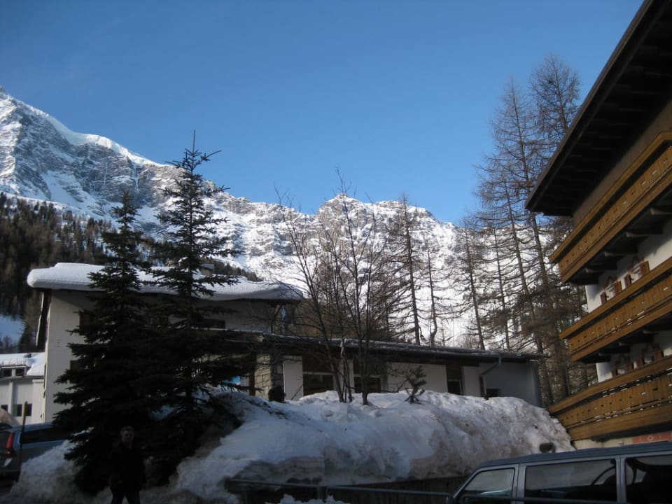 Blick zum Langenstein Pension Paulmichl