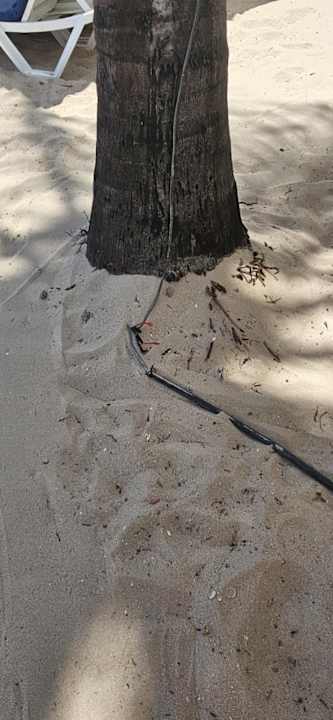 Strand Hotel Southern Palms Beach Resort