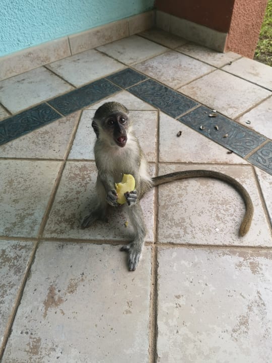 Sonstiges The Kairaba Beach Hotel