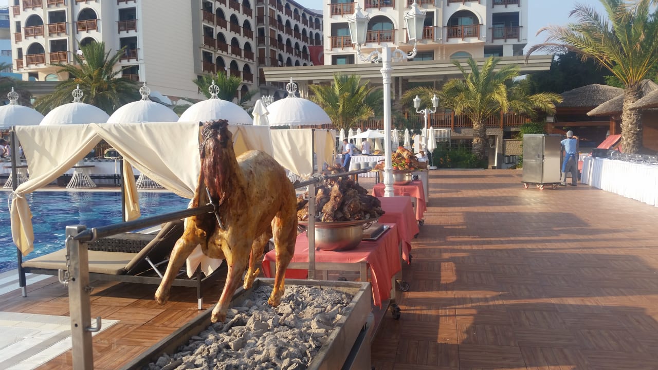 Gastro Quattro Beach Spa & Resort