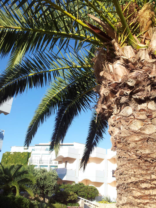 Innenhof Hotel Kathrin Beach