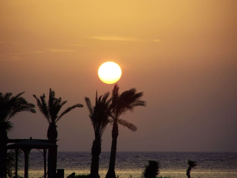 Sonnenaufgang vom Zimmer 1154 Hotel Sheraton Soma Bay Resort