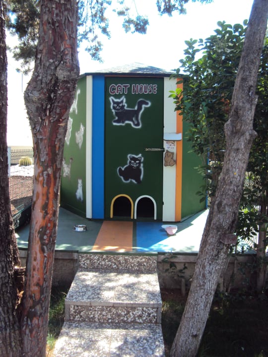 Katzenhaus  Paloma Oceana