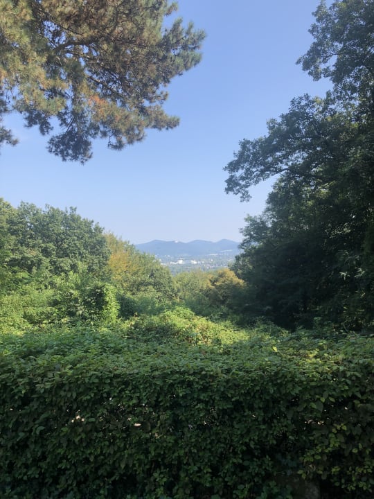 Ausblick Hotel Dorint Venusberg