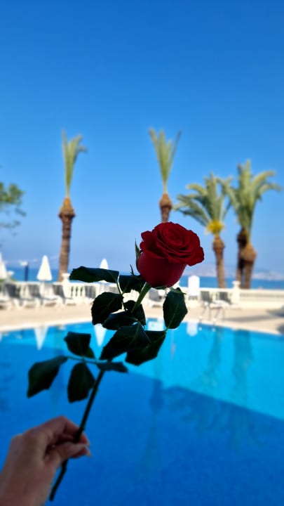 Außenansicht Labranda Alantur Resort