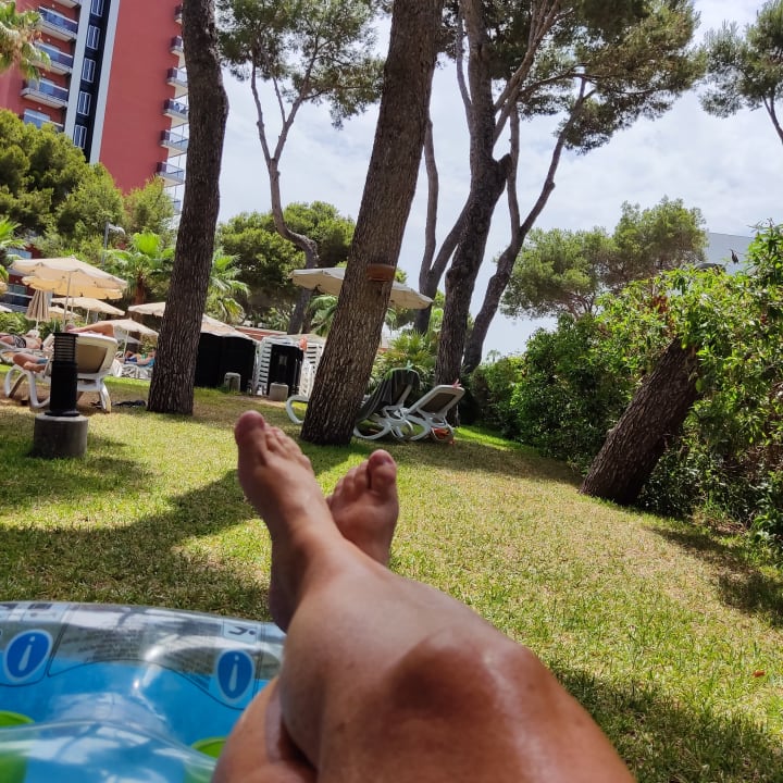 Gartenanlage Hotel Riu Festival