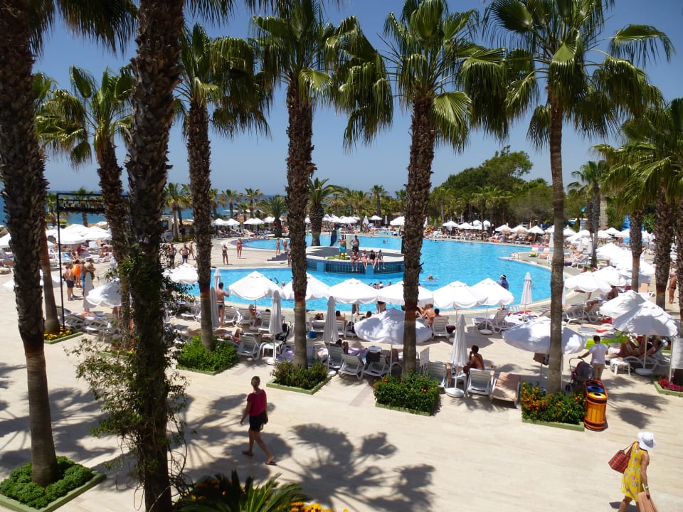Pool Hotel Botanik Platinum