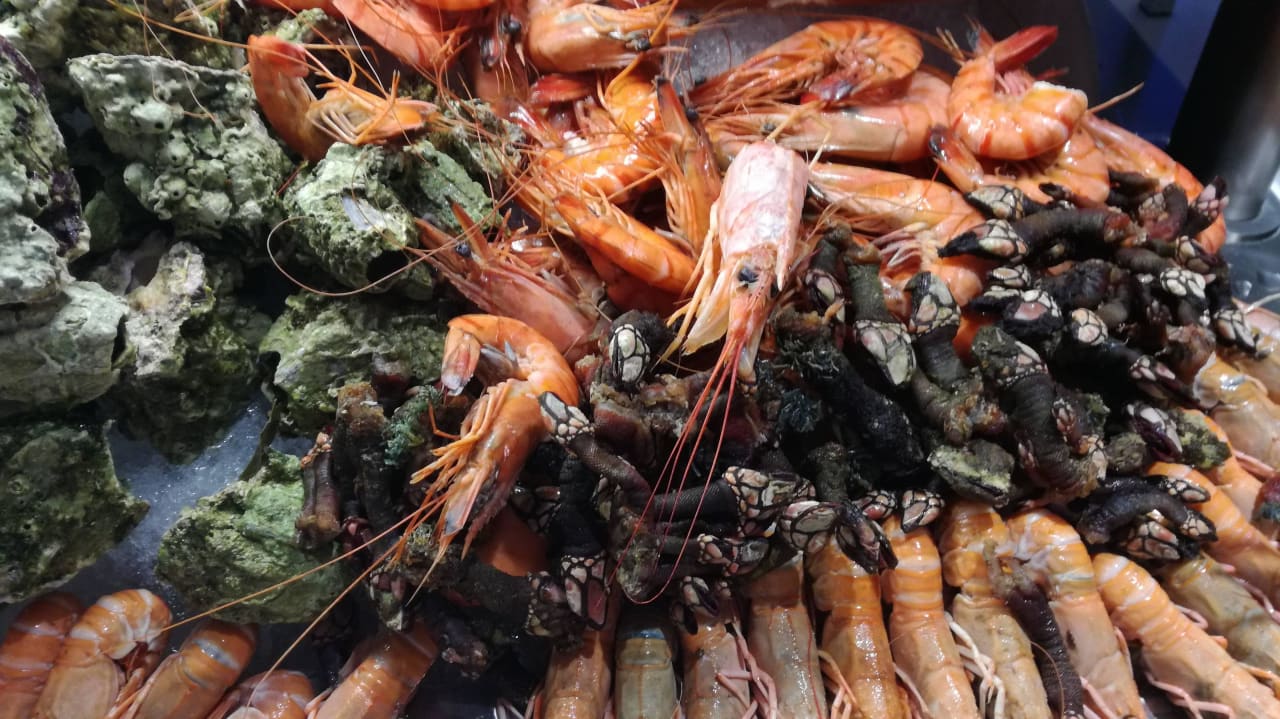 Spezialitäten vom Buffet Meliá Laguna Beach