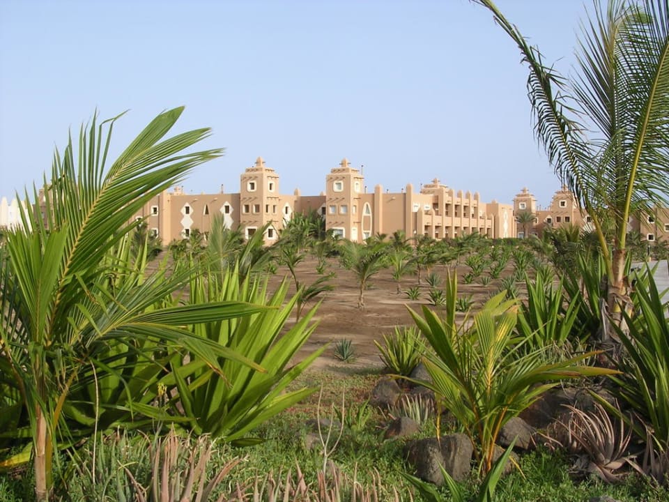 Gartenanlage Hotel Riu Funana