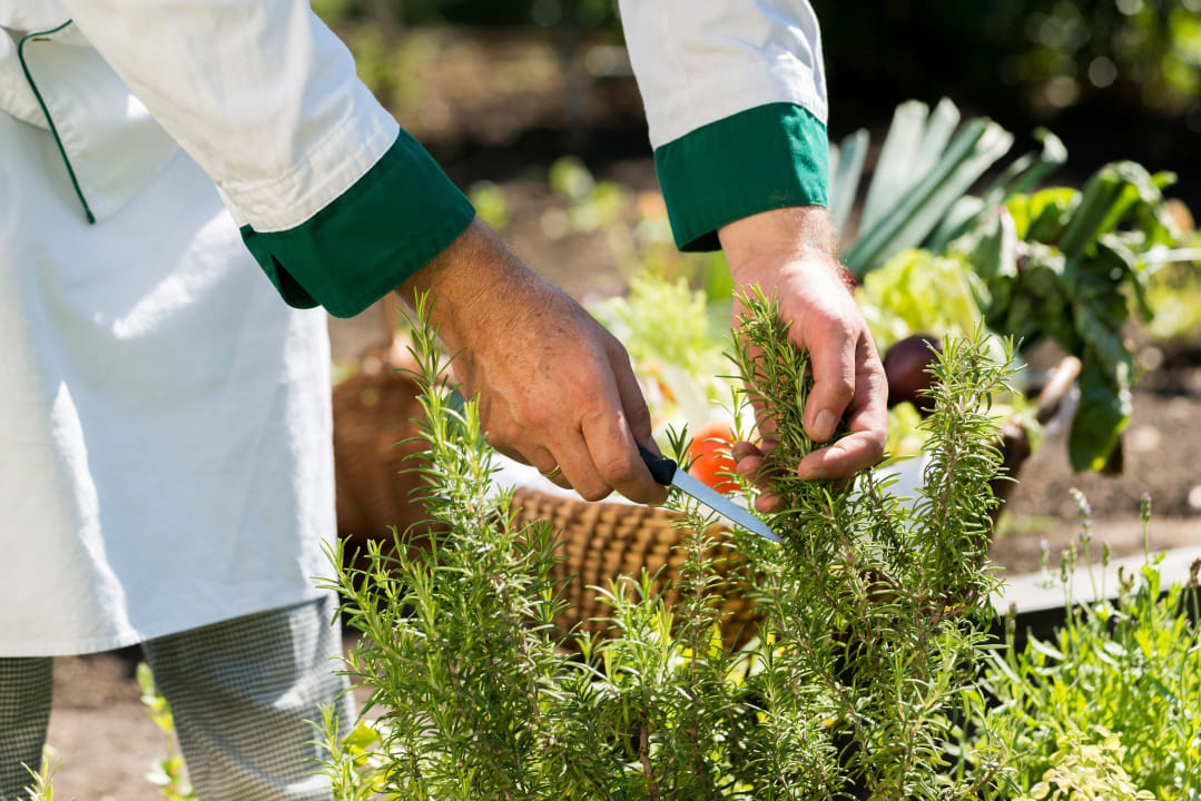 Gastro Wilfinger Bio Thermen Hotel