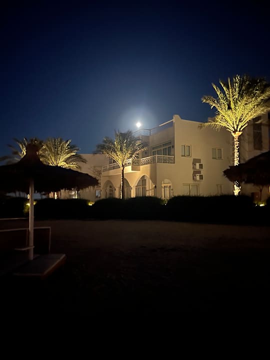 Ausblick Desert Rose