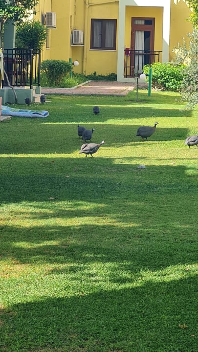 Gartenanlage VONRESORT Golden Beach