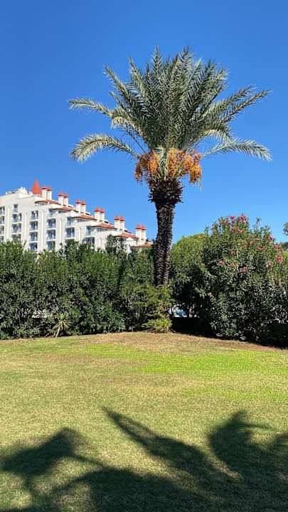 Gartenanlage Green Max Hotel