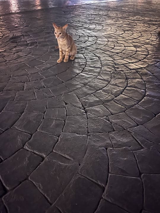 Sonstiges Sentido Caribbean World Soma Bay