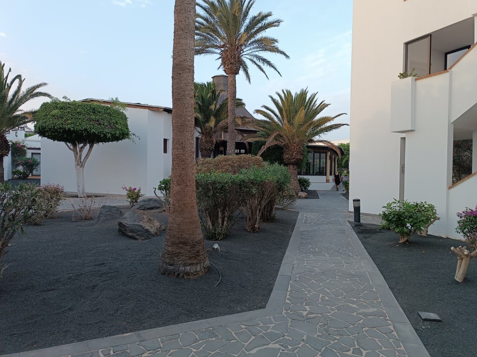 Außenansicht allsun App.-Hotel Albatros