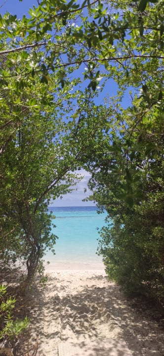 Ausblick Embudu Village