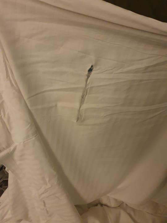 Zimmer Riviera Spa Resort - Adults Only