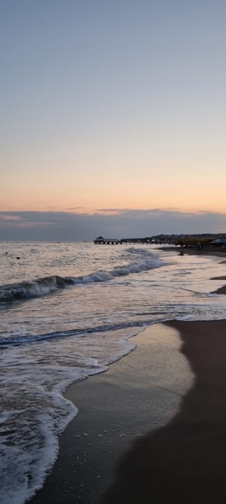 Zimmer AQI Pegasos World