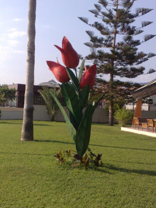 Deko Nerton Hotel - Erwachsenenhotel ab 16 Jahren