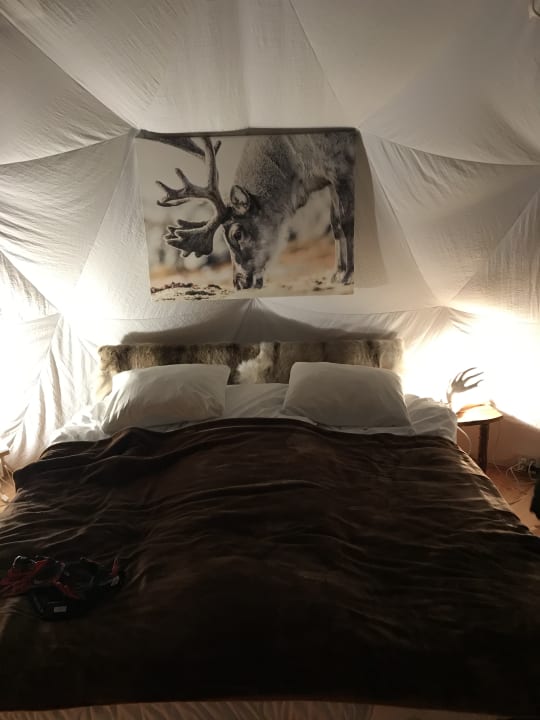 Zimmer Wild Caribou Dome