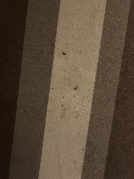 Zimmer H+ Hotel Bad Soden