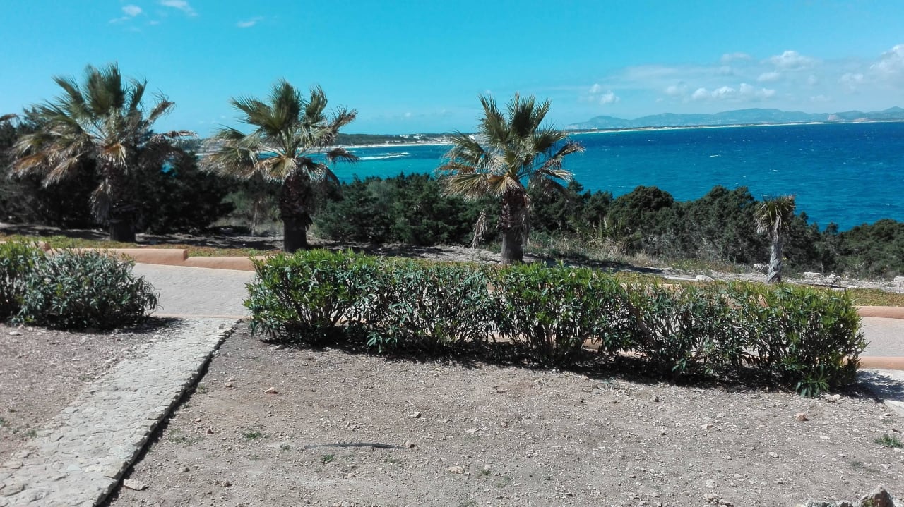 Blick von terasse Hotel Club Sunway Punta Prima