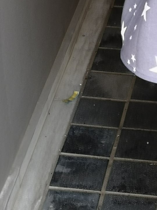 Außenansicht Akti Palace Resort & Spa