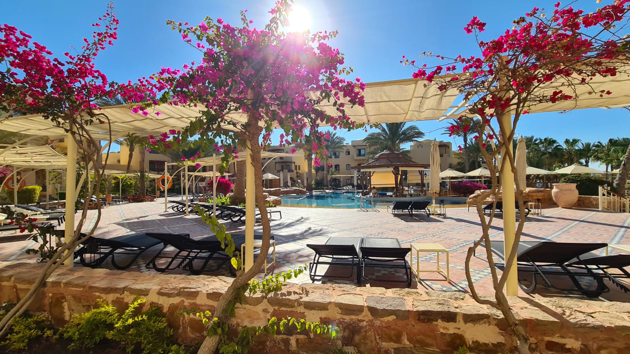 Gartenanlage Steigenberger Coraya Beach - Adults only