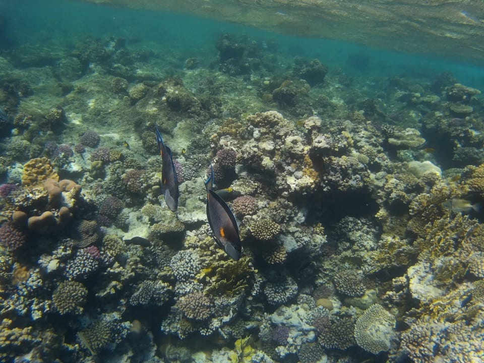 Riff Casa Mare Resort