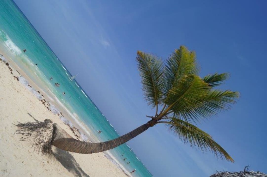 Schöner Platz für Erinnerungsfoto Bahia Principe Luxury Ambar