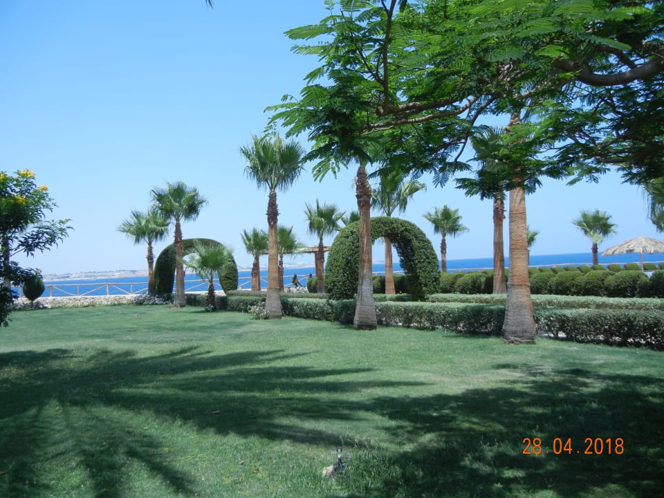 Gartenanlage Sharm Club Beach Resort