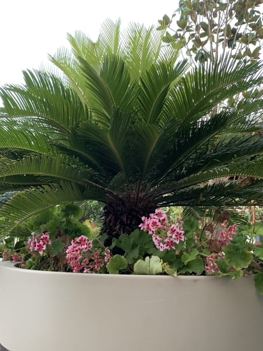 Gartenanlage Hane Family Resort