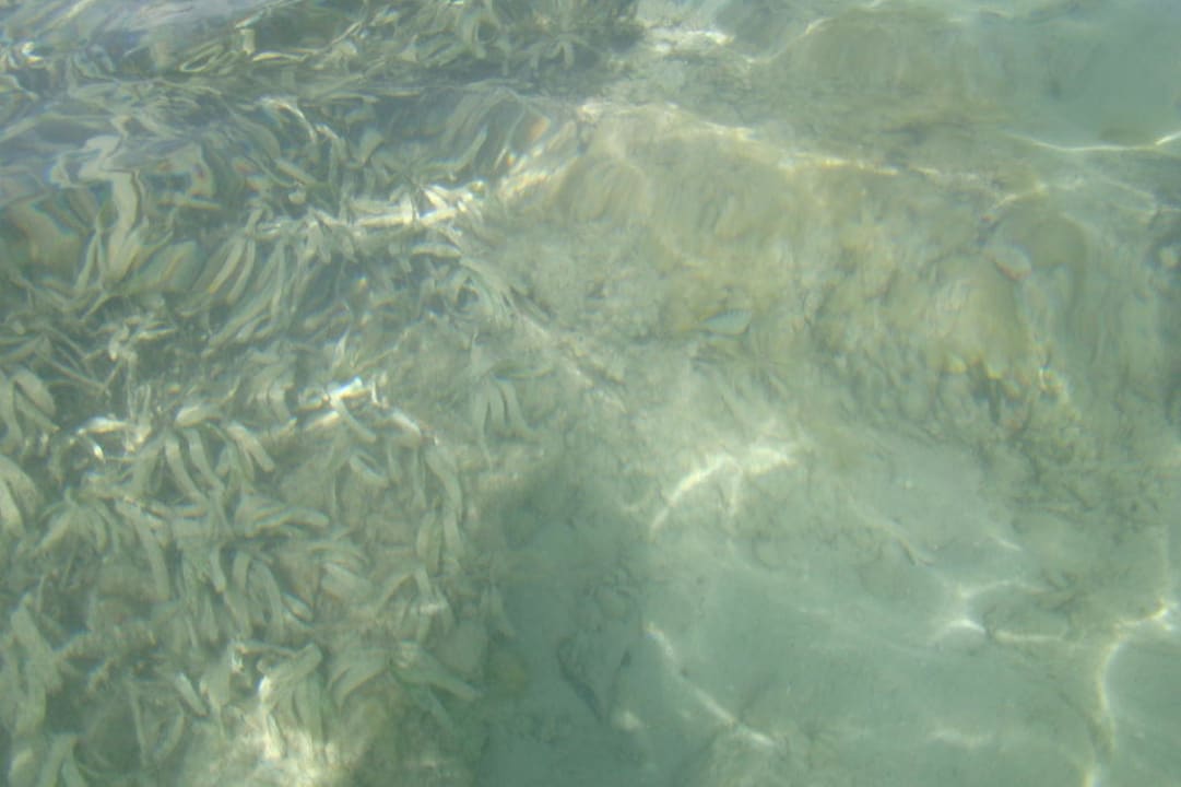 Rafy brak! JAZ Belvedere Resort