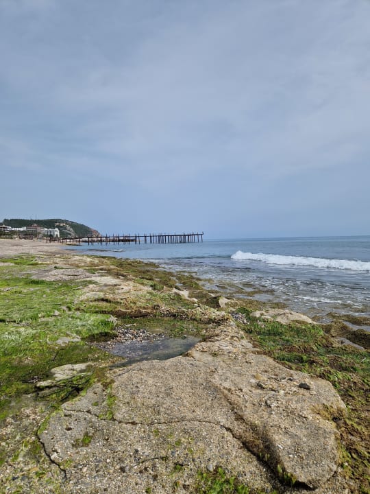 Strand Dizalya Palm Garden