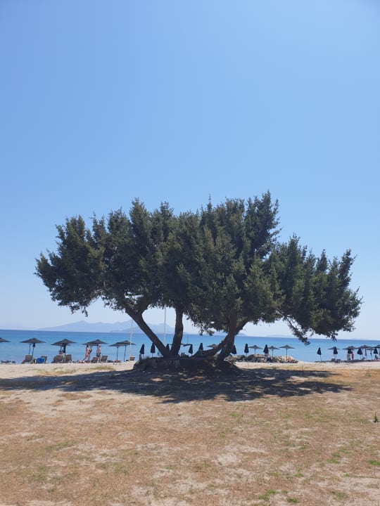 Gastro Porto Bello Royal