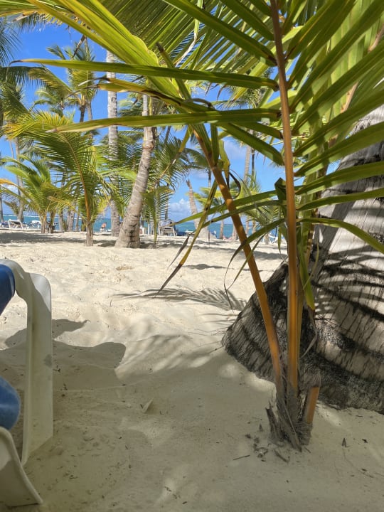 Ausblick Hotel Riu Palace Punta Cana