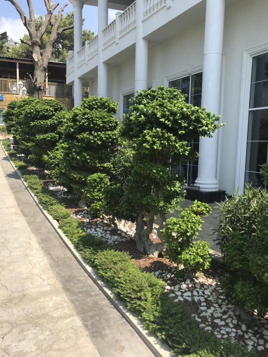 Gartenanlage Rubi Platinum Spa Resort & Suites