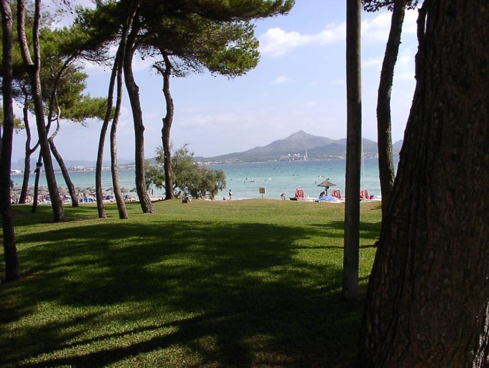 Weg zum Strand Iberostar Waves Playa de Muro